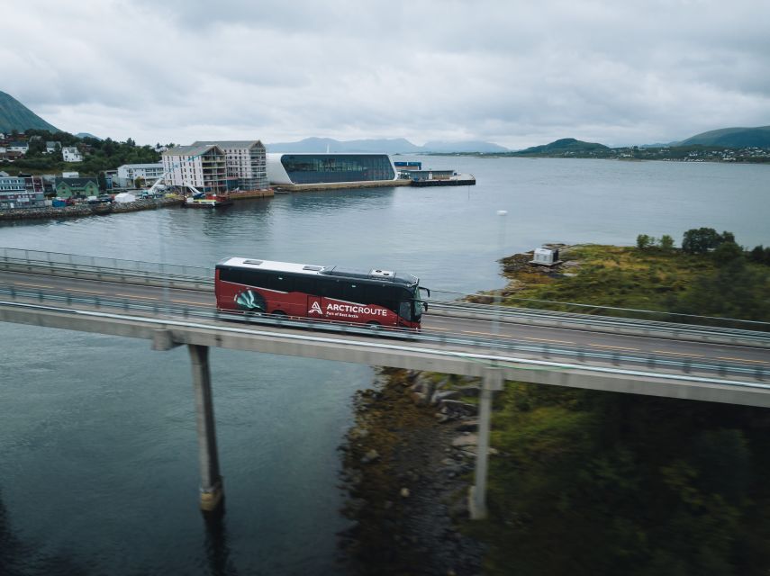 From Svolvær: Whale Watching Day Trip to Andenes - Whale Watching Highlights