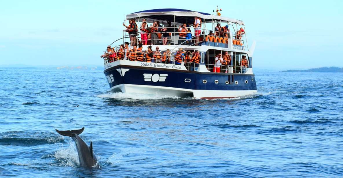 From Tangalle: Mirissa Whale Watching Tour With Breakfast - Tour Inclusions