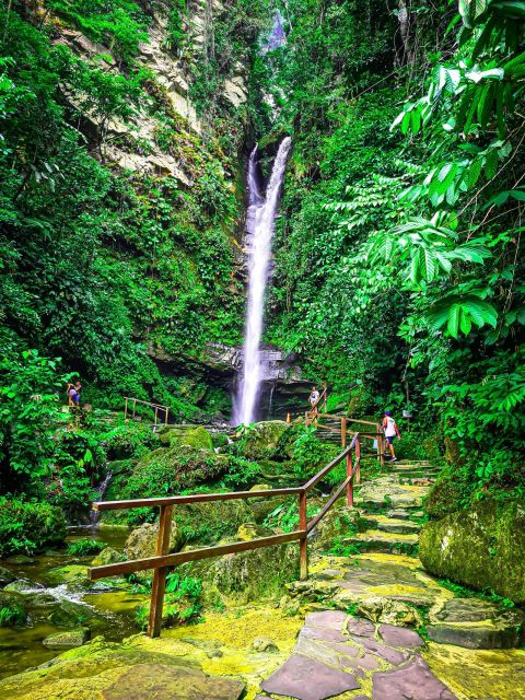 From Tarapoto: Ahuashiyacu Waterfall Half Day Tour - Highlights of the Tour