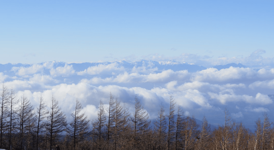 From Tokoyo - Mount FUJI Classic Highlight Joiner Day Tour - Oshino Hakkai Experience