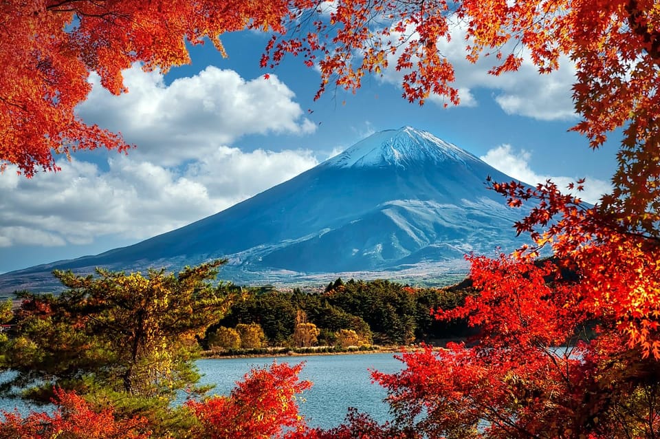 From Tokyo: 1 Day Mount Fuji Private Guided Tour - Itinerary Highlights