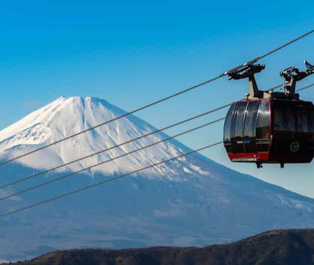 From Tokyo: Hakone, Lake Asahi & Oshino Hakkai Private Tour - Inclusions and Exclusions