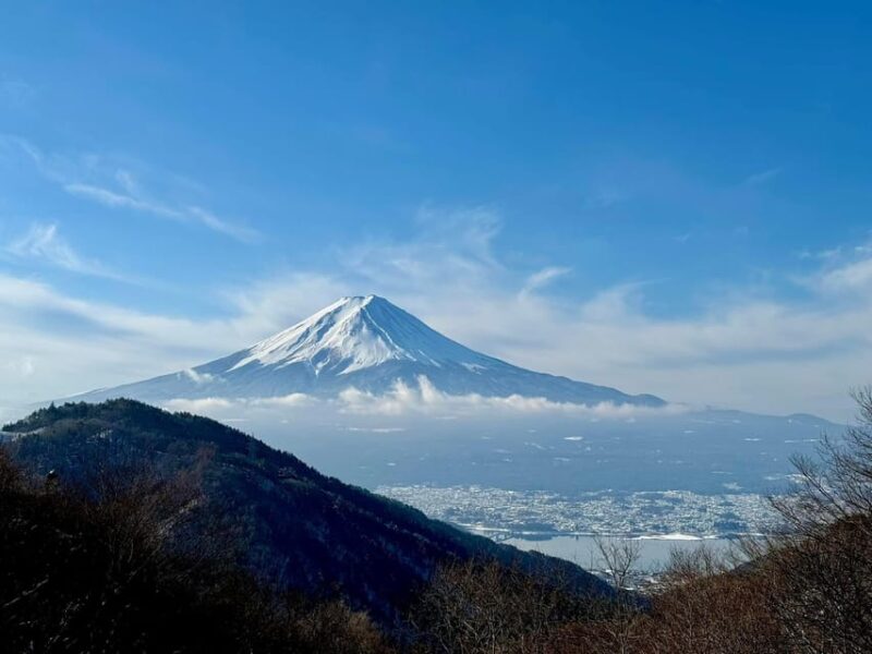 From Tokyo: Kyoto, Mount Fuji, and Hiroshima Guided Tour - Experience and Activities