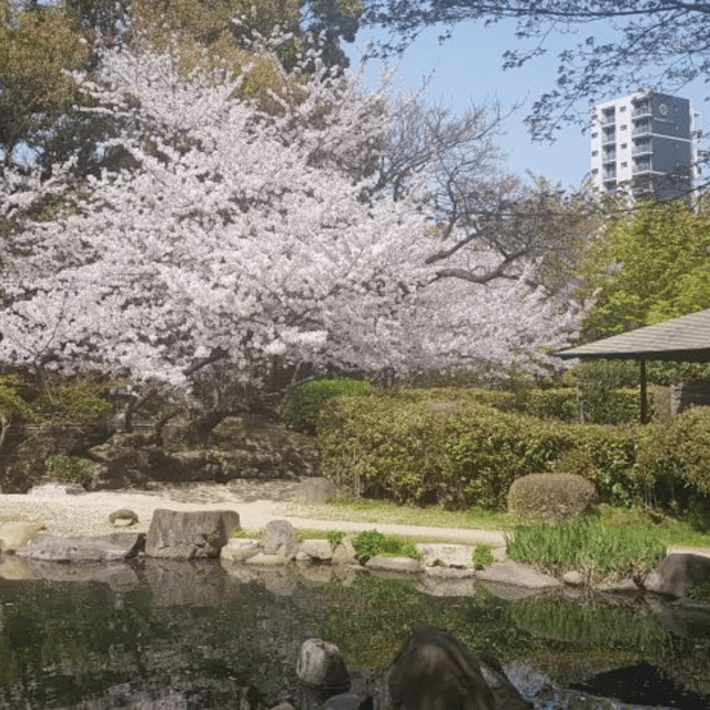 From Tokyo: Luxury Tokyo Private City Tour In Land Cruiser - Vehicle Amenities