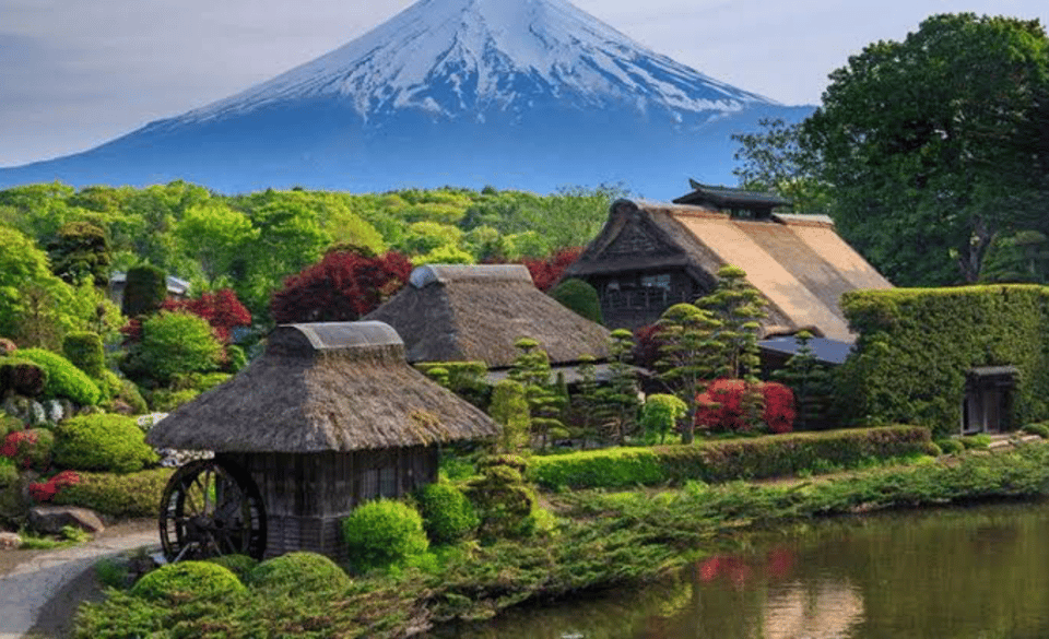 From Tokyo: Mount Fuji Full Day Private Tours English Driver - Customer Reviews and Feedback