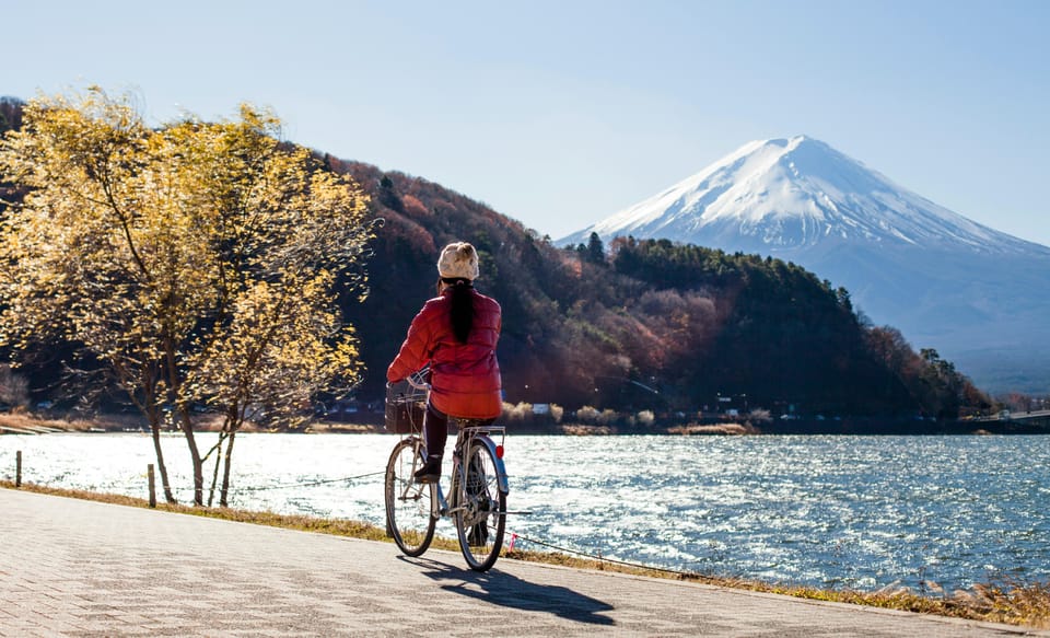 From Tokyo: Mount Fuji Instagram Spots 1-Day Private Tour - Accessibility Features