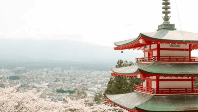 From Tokyo: Mount Fuji Private Day Trip - Driver Information and Languages