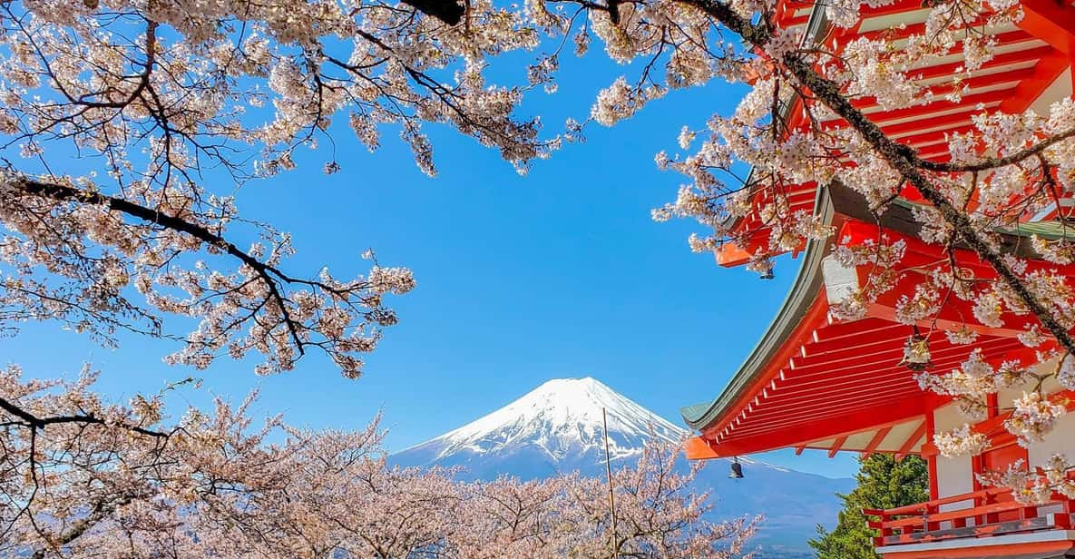 From Tokyo: Mt Fuji and Lake Kawaguchiko Private Day Trip - Additional Information and Costs