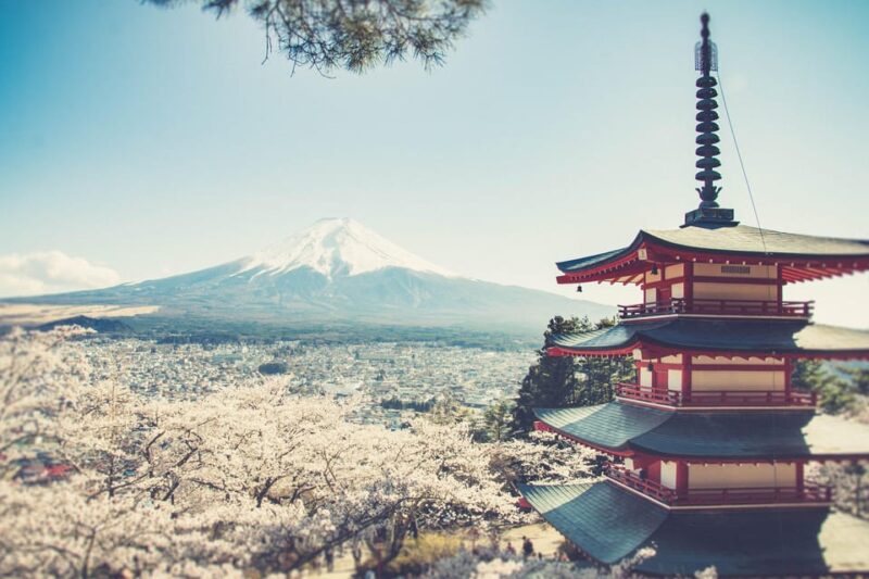 From Tokyo: Mt. Fuji & Hakone One Day Private Tour - Transportation Details