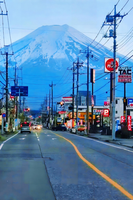 From Tokyo: Mt Fuji Instagram-Worthy Full-Day English Tour - Tour Inclusions and Restrictions