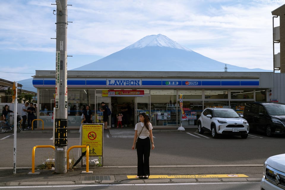 From Tokyo: Mt. Fuji or Hakone Private Sightseeing Day Trip - Inclusions