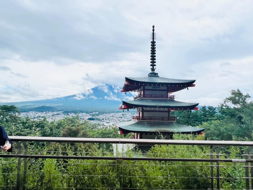 From Tokyo: Mt. Fuji or Hakone Sightseeing Private Day Tour - Transportation and Accessibility