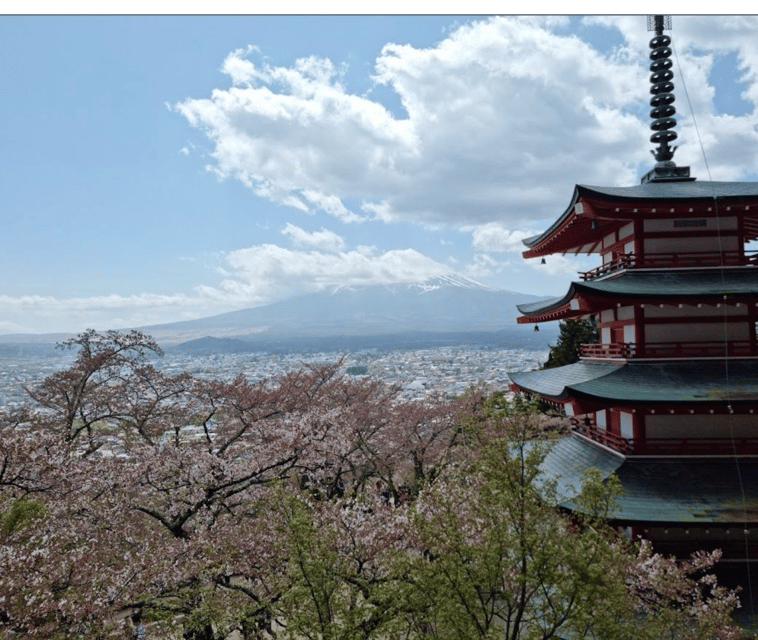 From Tokyo: Mt Fuji Private Day Tour In Luxury Land Cruiser - Frequently Asked Questions