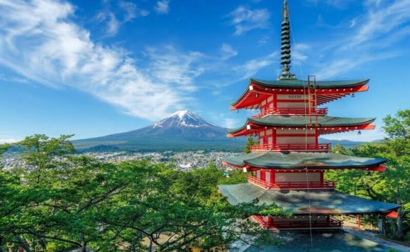 From Tokyo : Mt Fuji Private Sightseeing Tour - Transportation and Pickup Details