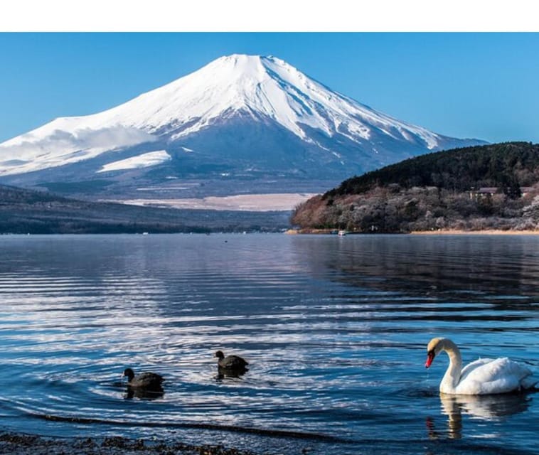 From Tokyo Mt Fuji Trip With English Speaking Driver 23 Ward - Important Information
