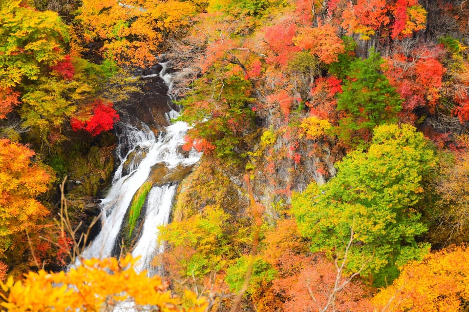 From Tokyo: Nikko One Day Private Tour With English Driver - Transportation Details