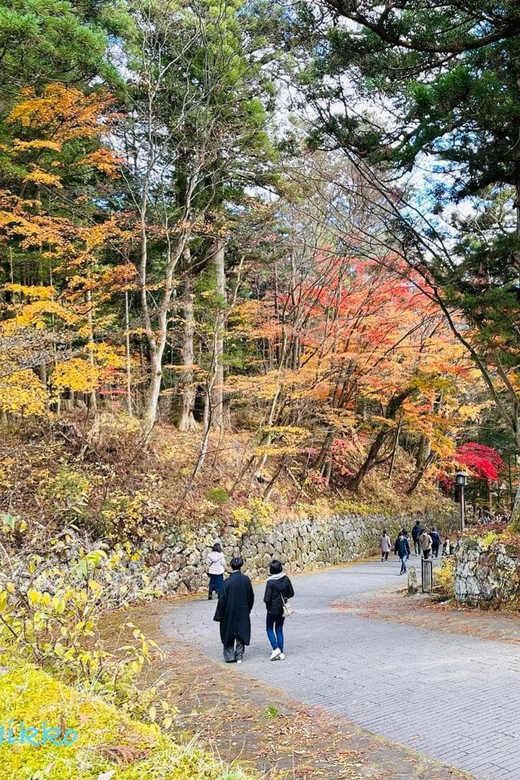 FROM TOKYO: NIKKO WORLD HERITAGE SIGHTS PRIVATE TOUR - Important Information