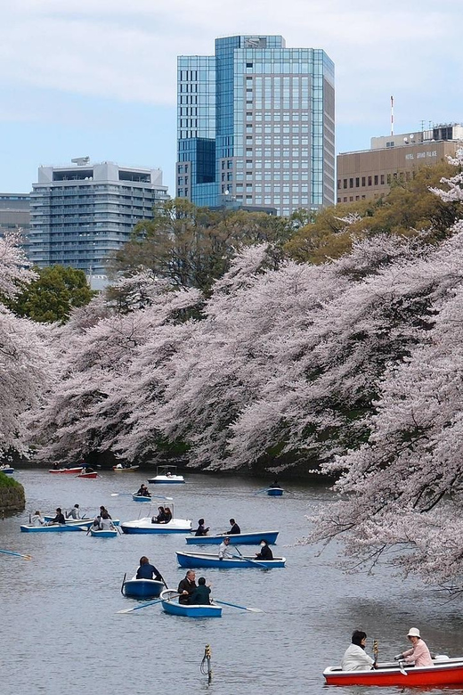 From Tokyo: Private Customized Day Tour With Driver - Vehicle Options and Capacity