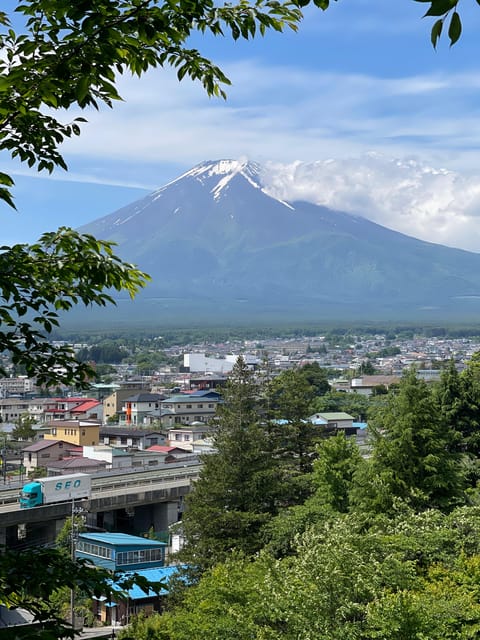 From Tokyo: Private Mt. Fuji Tour With Guide - Inclusions of the Tour