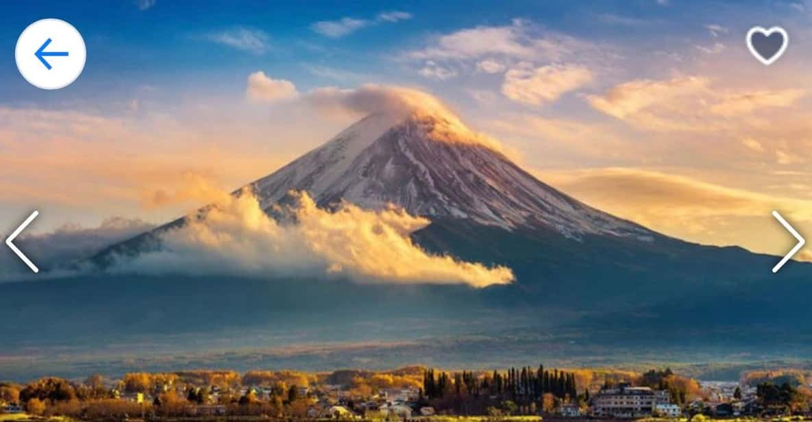 From Tokyo: Private Trip to Mount Fuji and Lake Kawaguchi - Transportation Details