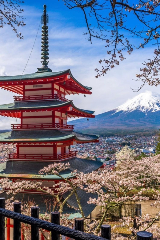 From Tokyo:Mount Fuji Customize Day Tour With English Driver - Transportation and Vehicle Details