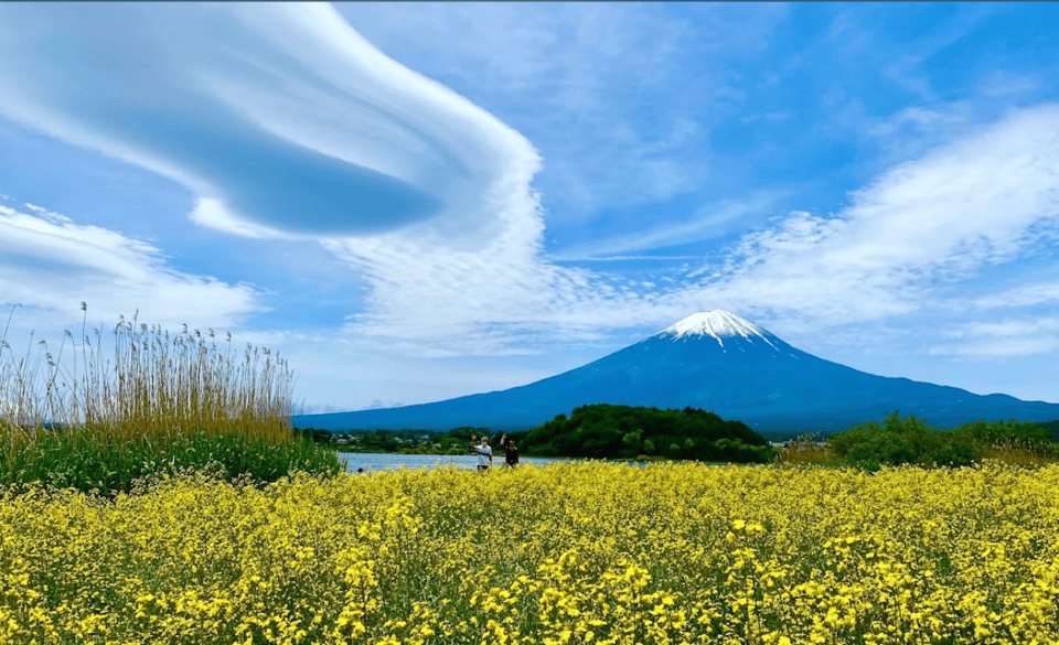 From Tokyo:Mount Fuji Customize Day Tour With English Driver - Important Considerations