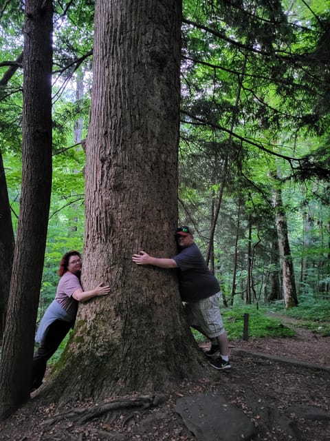 From Townsend: Great Smoky Mountains National Park Hiking - Experience Highlights