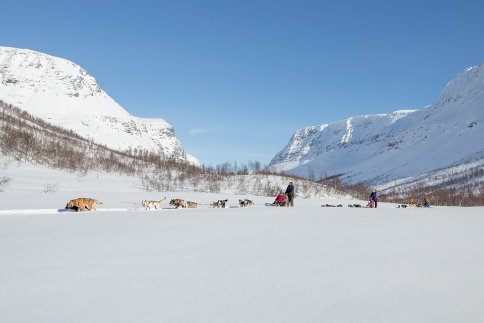 From Tromsø: Dog Sledding Adventure in Tamokdalen - Whats Included