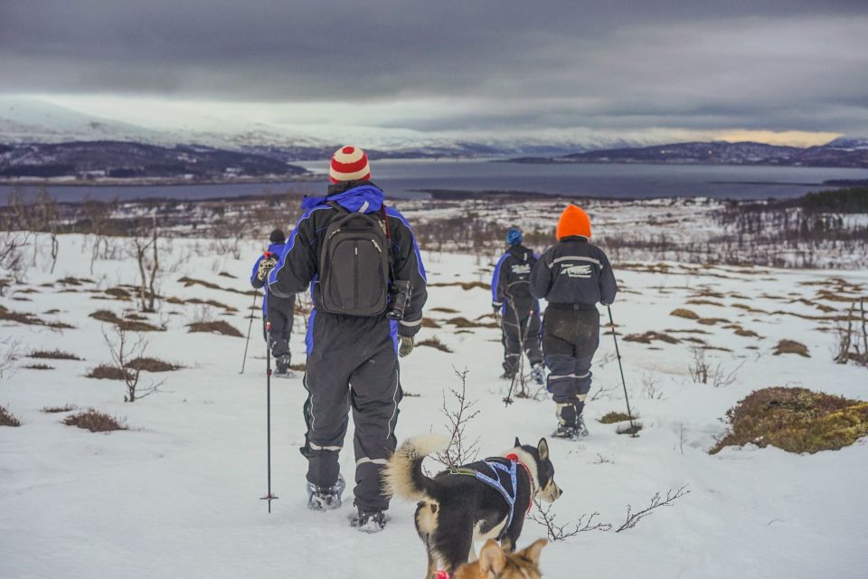 From Tromsø: Guided Husky Snowshoe Hike and Husky Camp Visit - Whats Included in the Tour