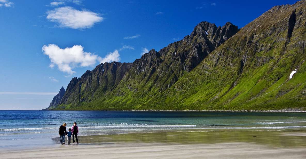 From Tromsø: Self-Guided Fjord Tour to Senja and Local Lunch - Transportation Options