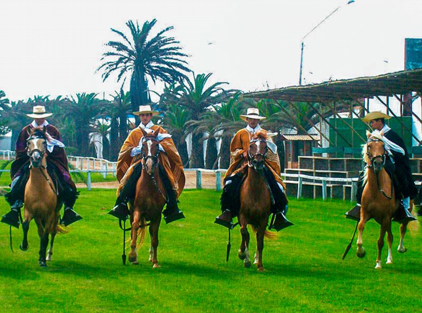 From Trujillo: Full Day With Paso Horses and Sailor Show - Paso Horse Show Details