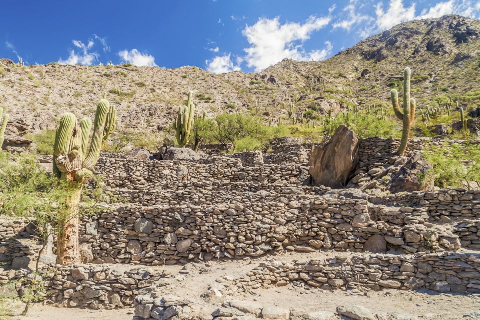 From Tucumán: Tafí Del Valle, Quilmes Ruins, and Cafayate - Tafí Del Valle Experience