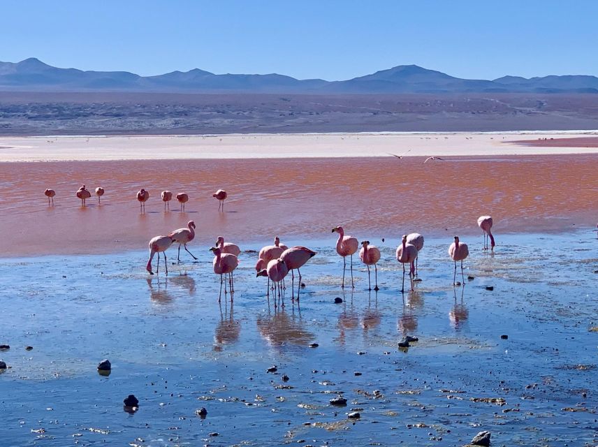 From Uyuni: Uyuni Salt Flat 3 Days - Day 2 Itinerary Highlights