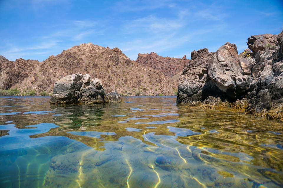 From Willow Beach: Half-Day Black Canyon Narrows Kayak Tour - Wildlife and Scenic Views