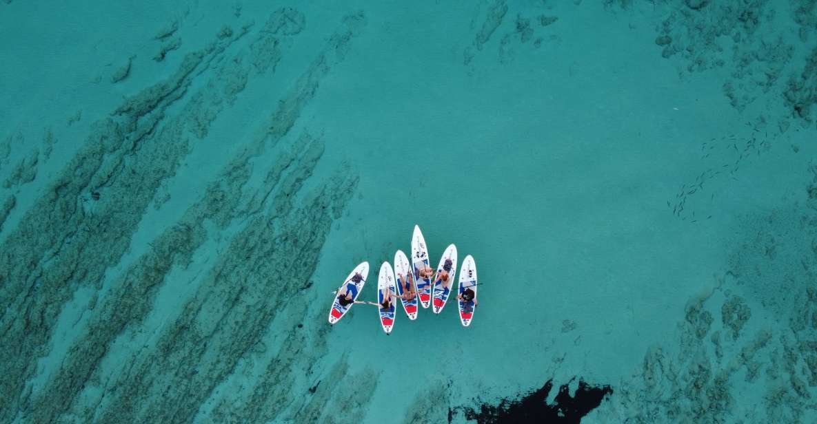 From Zadar: Full Day Dugi Otok Guided Paddle Board Tour - Stand-up Paddleboarding Exploration