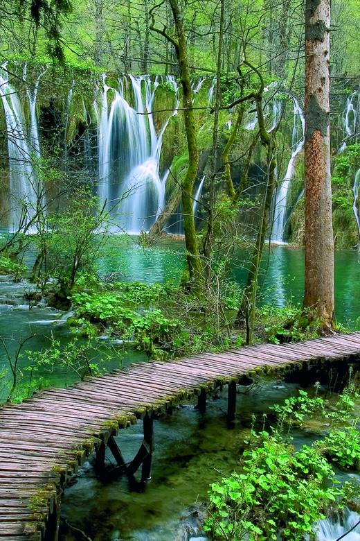 From Zadar: Plitvice Lakes Day Tour - Included Services