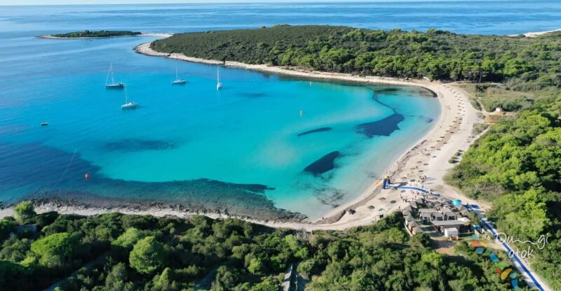 From Zadar: Sakarun Beach Private Speed Boat Tour - Speedboat Journey
