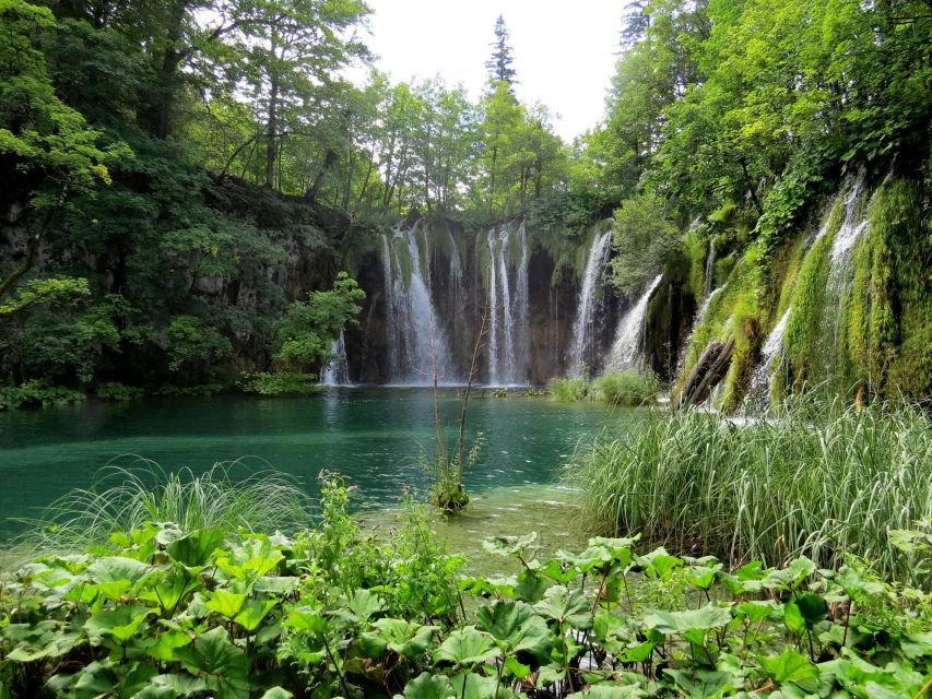 From Zagreb to Zadar: Plitvice Lakes Private Tour - Experience and Customization