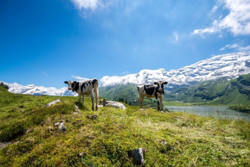 From Zurich: 2-Day Mt.Titlis Including 4-Course Dinner - Day 2 Itinerary Highlights