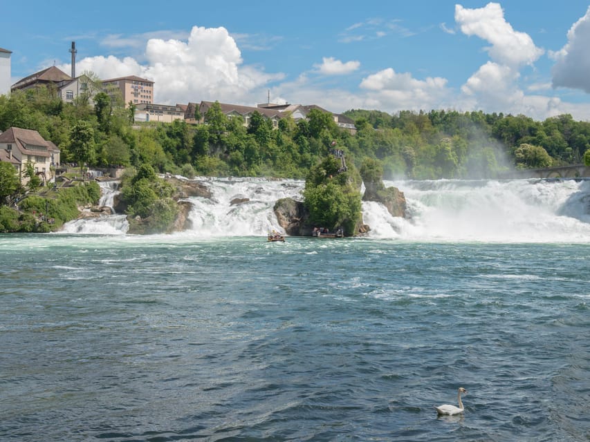 From Zurich: Chocolate & Cheese Factory, the Rhine Falls - Participant Information