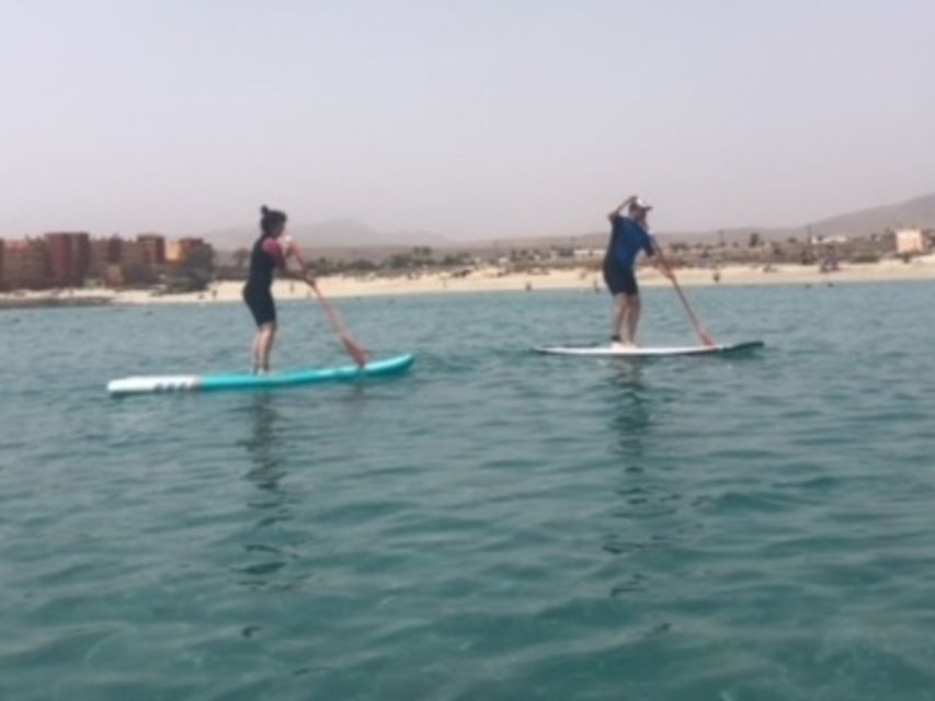 Fuerteventura: 1.5-Hour SUP Course - Caleta De Fuste - Participant Information