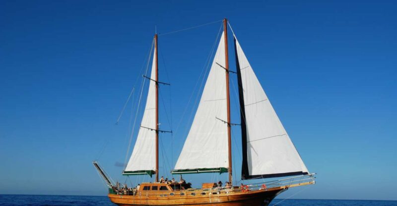 Fuerteventura: Exclusive Turkish Gulet Cruise With Lunch - Participant Information