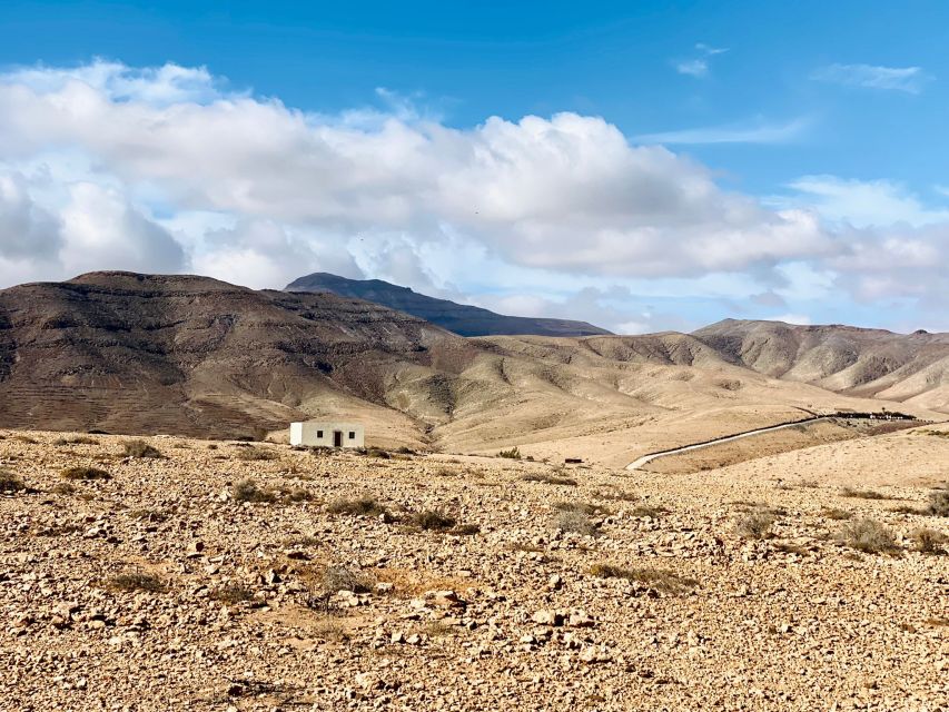 Fuerteventura: Guided Trekking Tour With Island Goats - Booking Details