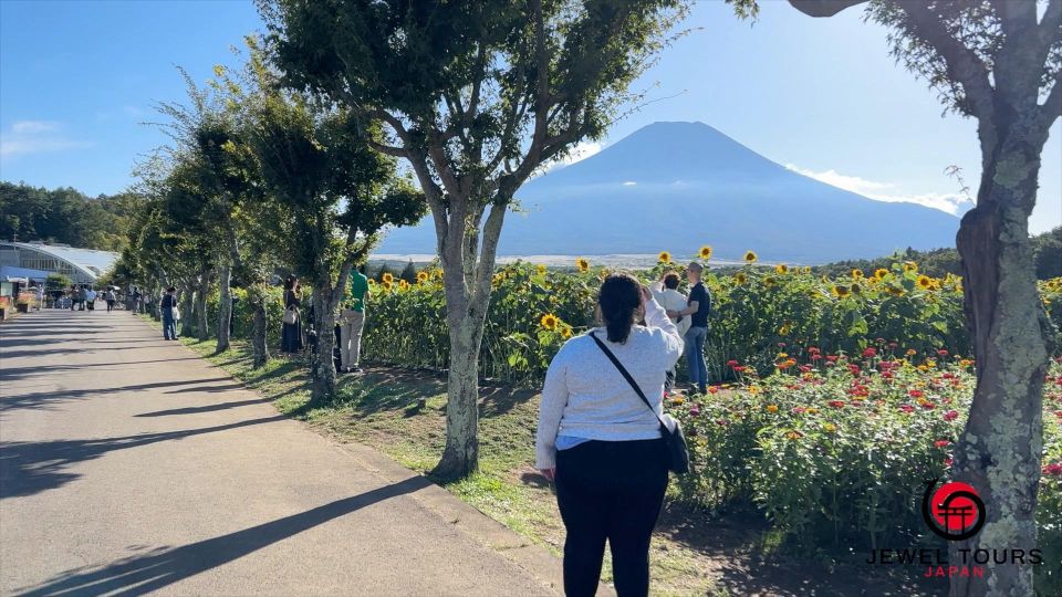 Fuji Yamanaka Lake. Oshino Hakkai and Local Noodles - Local Noodles and Culinary Delights