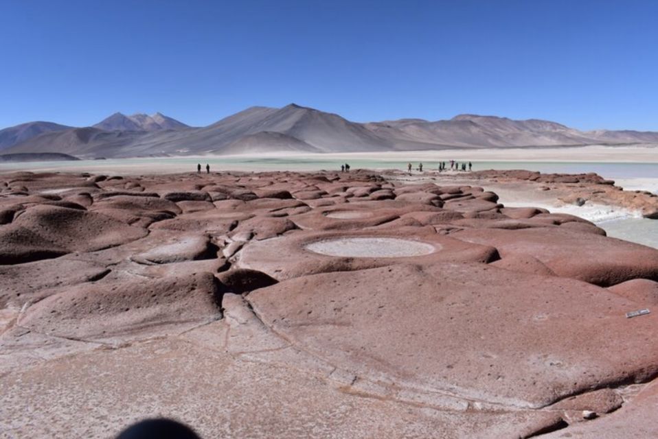 Full Day Altiplanic Lagoons, Red Stones, and Chaxa Lagoon - Experience and Commitment