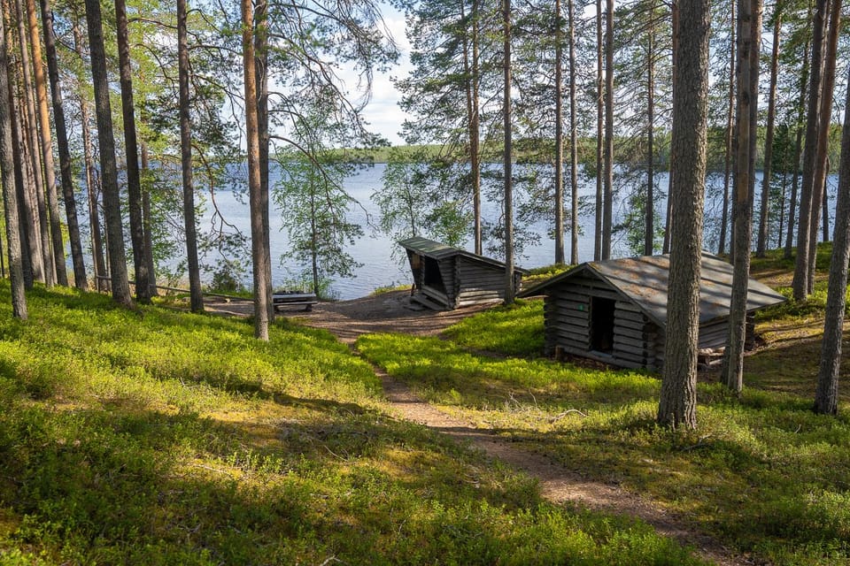 Full Day Hike at Iso-Palonen Nature Reserve - Booking Information