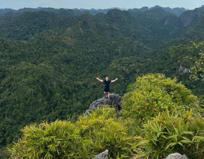 Full-Day Hiking, Trekking in Jungle of Cat Ba National Park - Inclusions and Exclusions