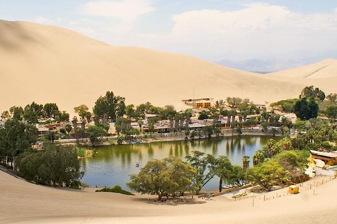 Full Day Paracas - Ica - Oasis Huacachina - Vineyard Visit in Ica
