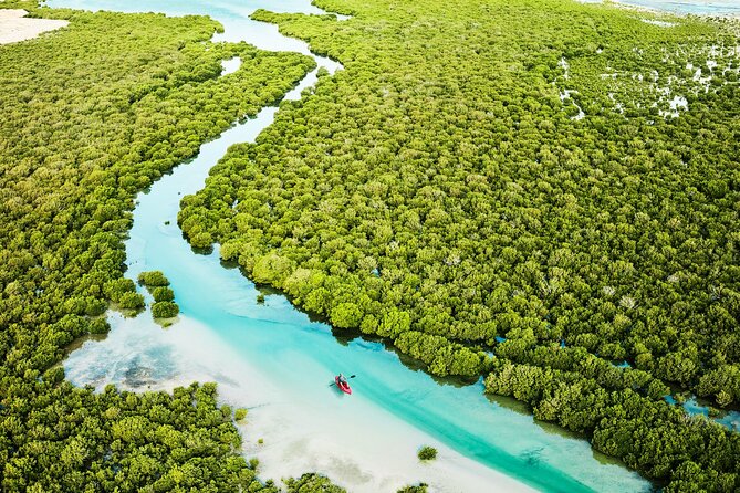 Full Day Qatars North And West Private Tour - Discovering Al Thakhira Beach