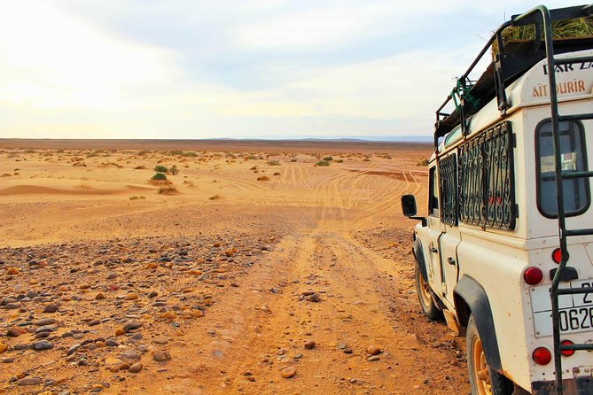 Full-Day Safari Small Desert With Lunch - Traveler Experiences